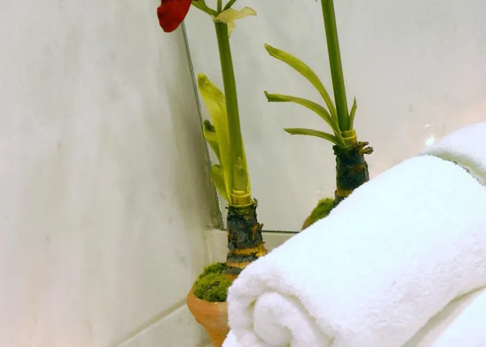 Ξενοδοχείο Limneon &